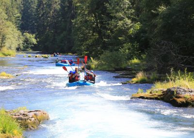 A group of rafters raising their paddles while on the White Salmon middle gorge.
