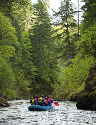 Group of four rafting down the lower gorge, surrounded by beautiful trees.