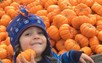 Packer Pumpkin Patch – Hours of fun activities.